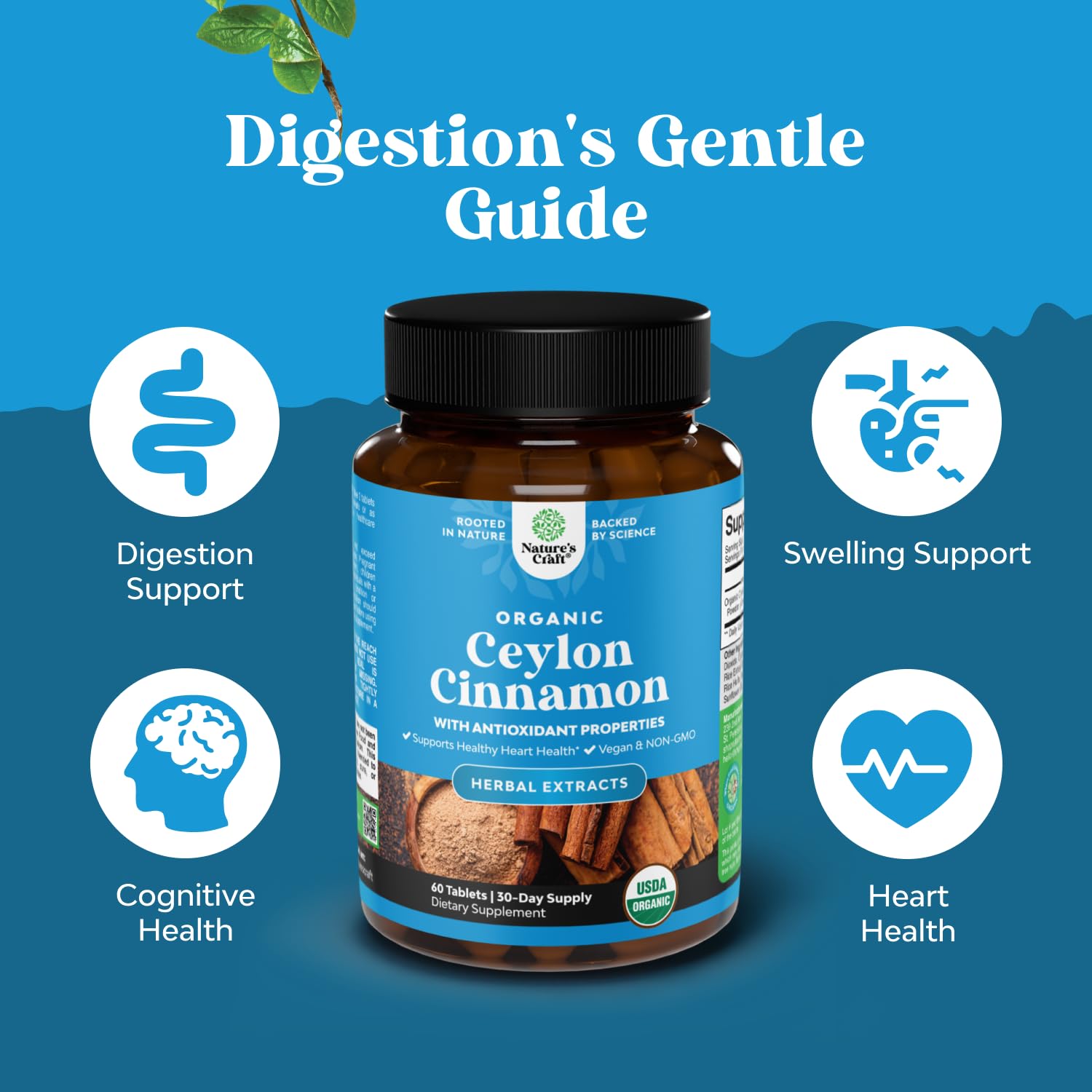 Natures Craft Ceylon Cinnamon Supplement back view with ingredient list