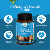 Natures Craft Ceylon Cinnamon Supplement back view with ingredient list