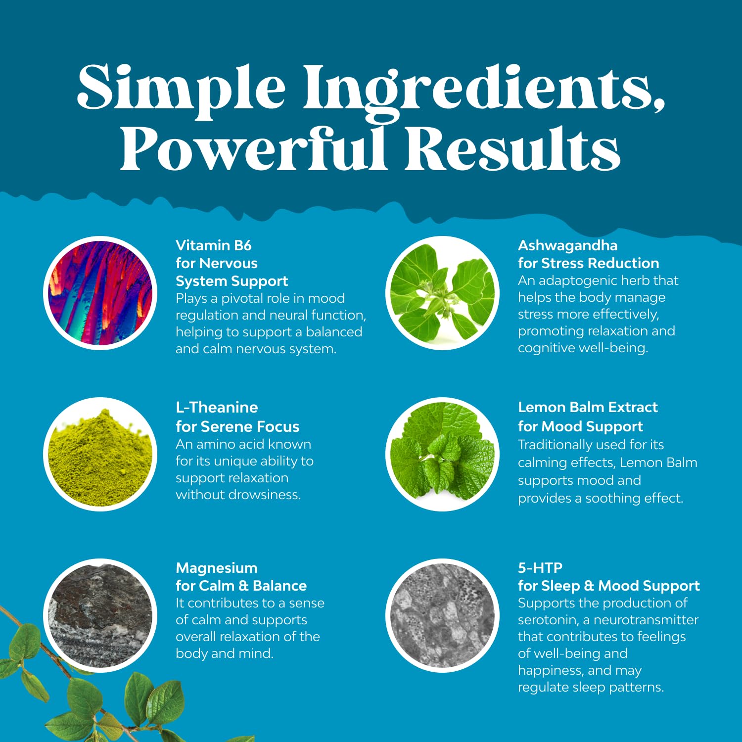 Natures Craft Chill and daily wellness Gummies with a glass of water