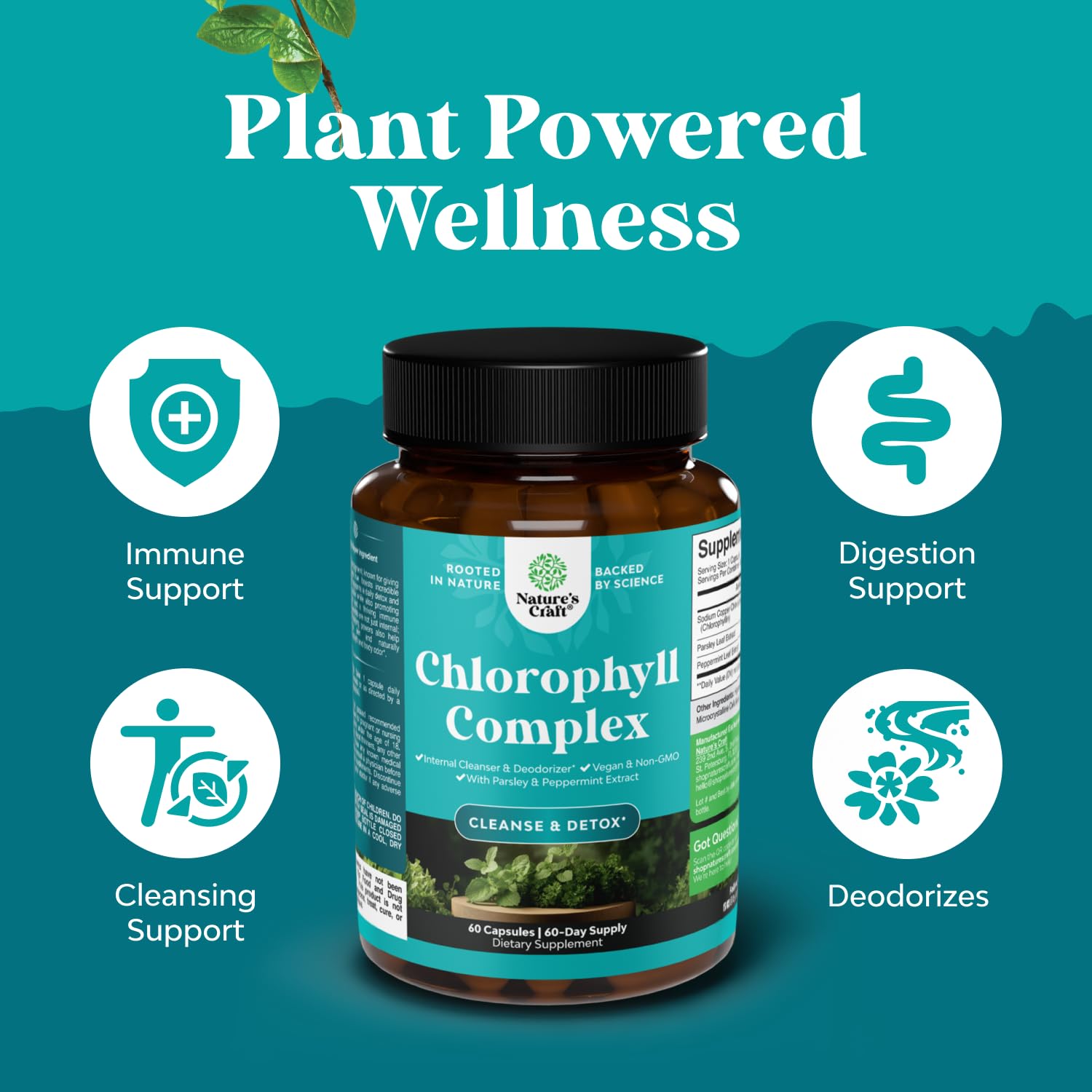 Natures Craft Chlorophyll Capsules close-up of capsules