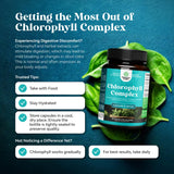 Natures Craft Chlorophyll Capsules with parsley and peppermint leaves