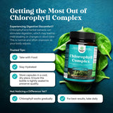 Natures Craft Chlorophyll Capsules with parsley leaves