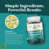Natures Craft Chlorophyll Gummies opened packaging