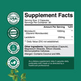 Natures Craft daily Support daily wellness Supplement back view with ingredient list