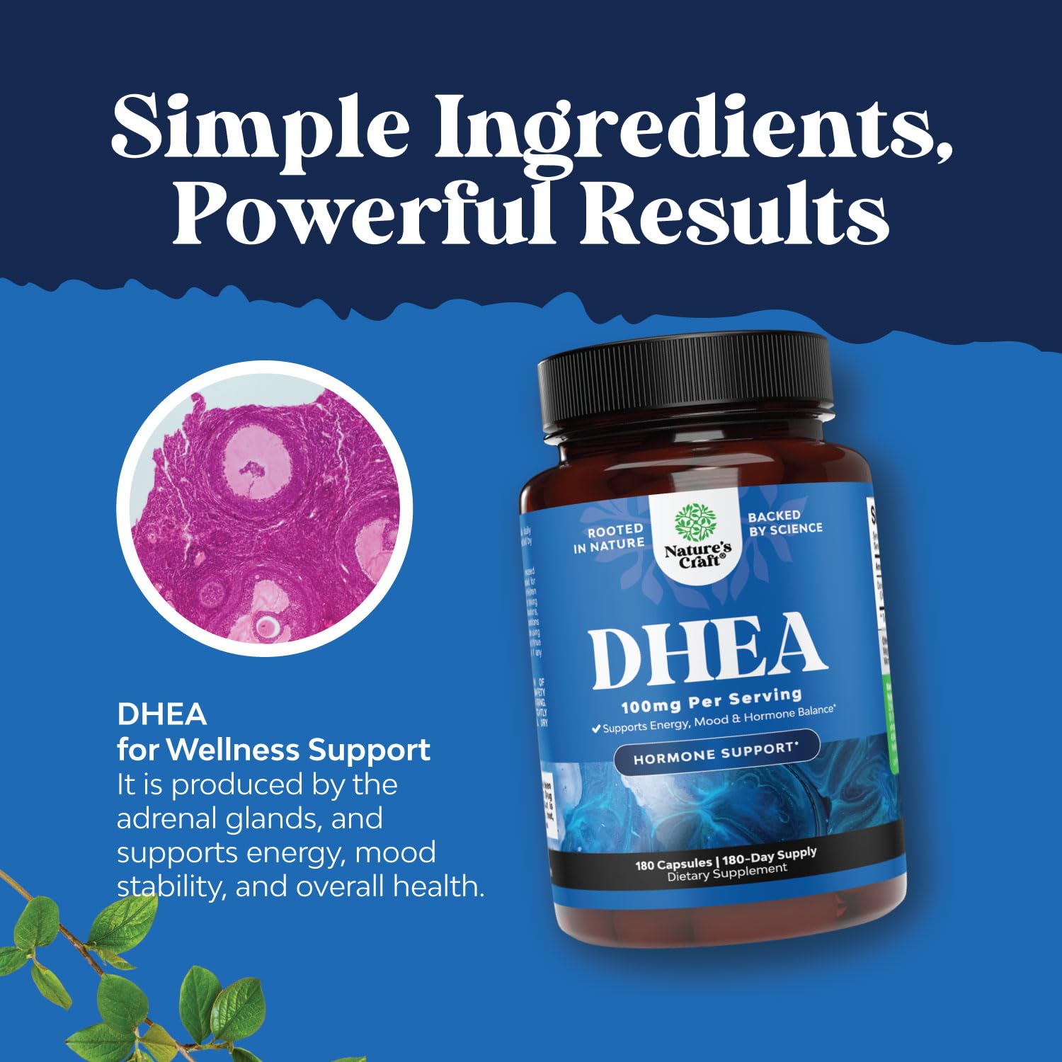 Natures Craft DHEA Supplement 100mg capsule with a measuring spoon
