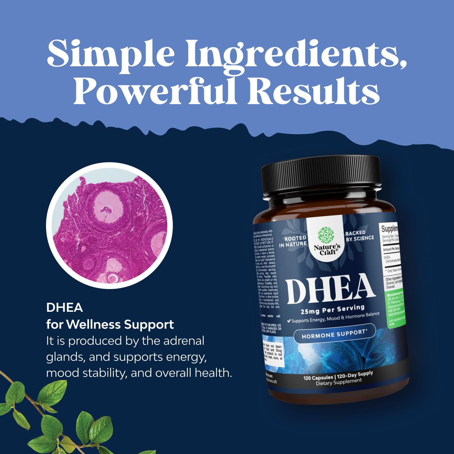 Natures Craft DHEA Supplement 50g with a measuring spoon