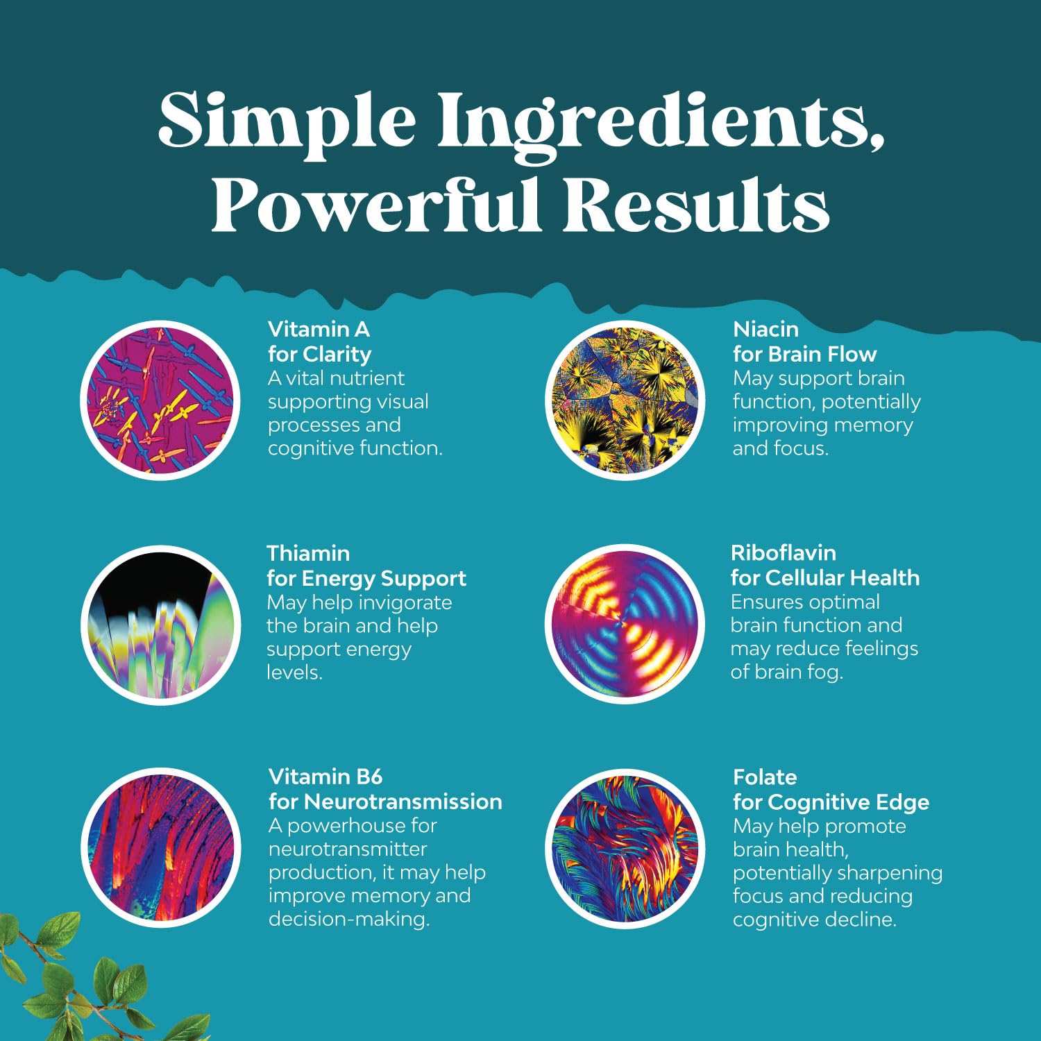Natures Craft DMAE Brain Supplement ingredients list