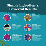 Natures Craft DMAE Brain Supplement ingredients list