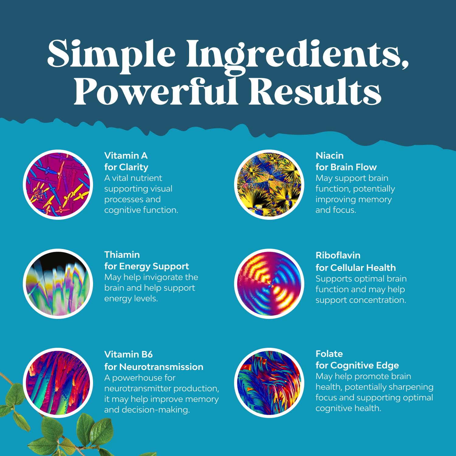 Natures Craft DMAE Brain Support Supplement with ingredients list