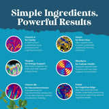Natures Craft DMAE Brain Support Supplement with ingredients list