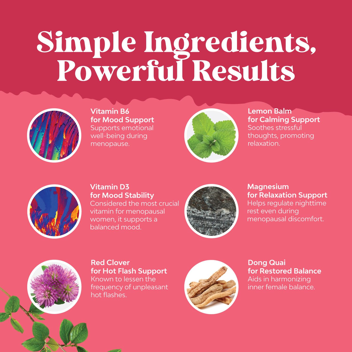 Natures Craft Dong Quai Menopause Support Capsules in a lifestyle setting
