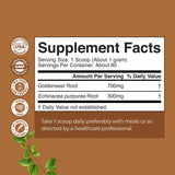 Natures Craft Echinacea Goldenseal Powder 118g close-up of powder