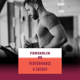 Natures Craft Forskolin Fat Burner 500mg ingredients list