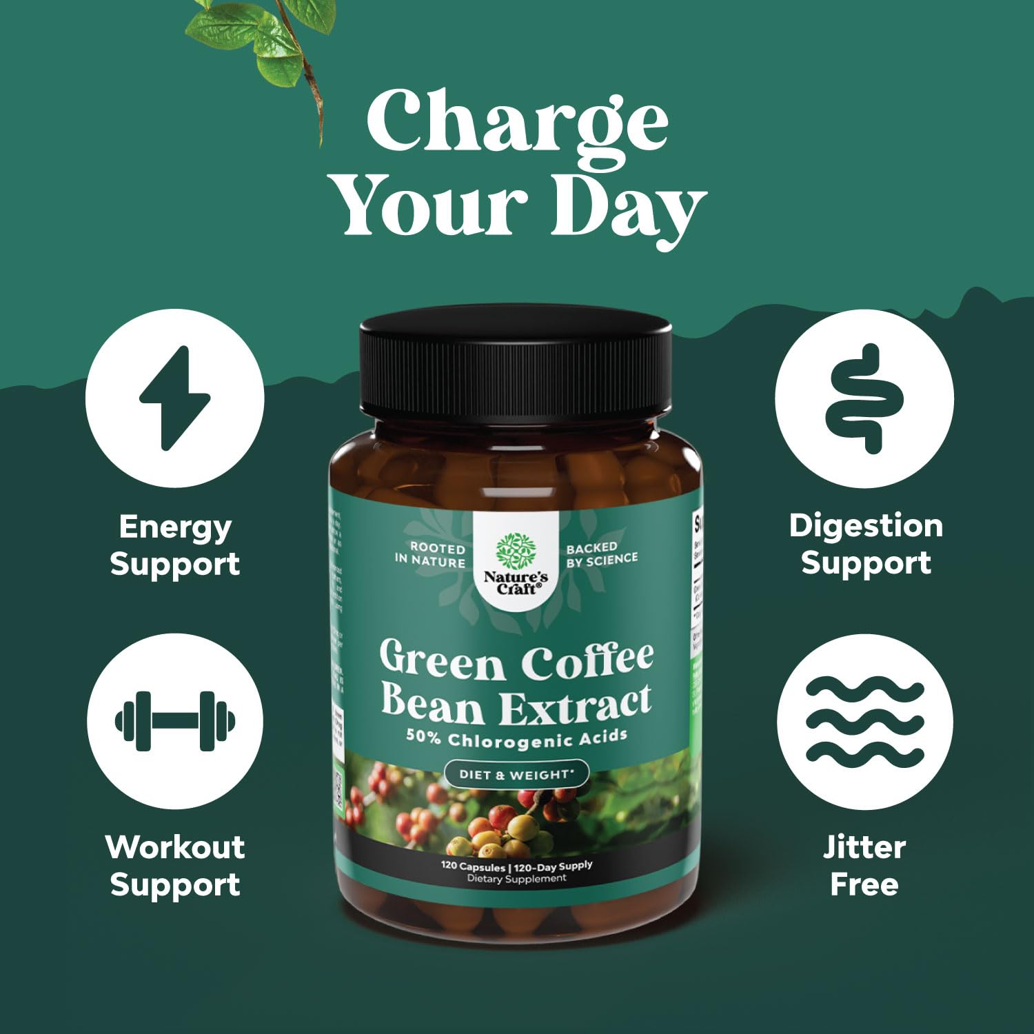 Natures Craft Green Coffee Bean Extract 141g capsules on a table