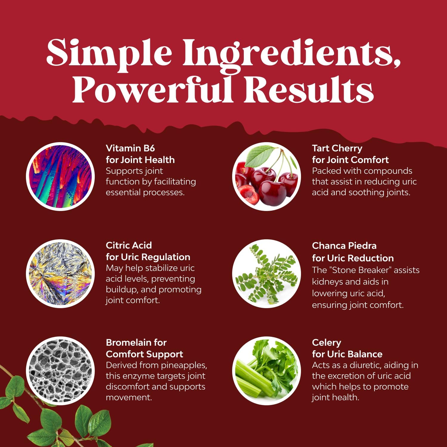 Natures Craft Green Coffee Bean Extract Supplement packaging