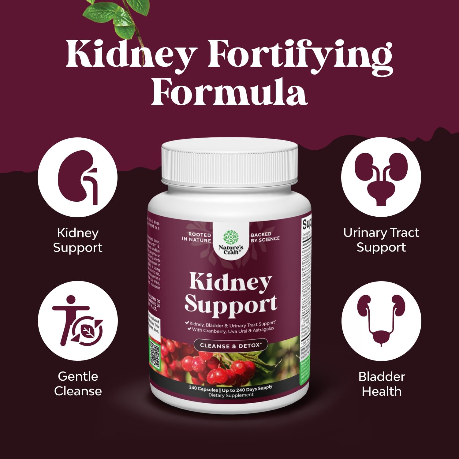 Natures Craft Kidney Support capsules displayed on a wooden surface