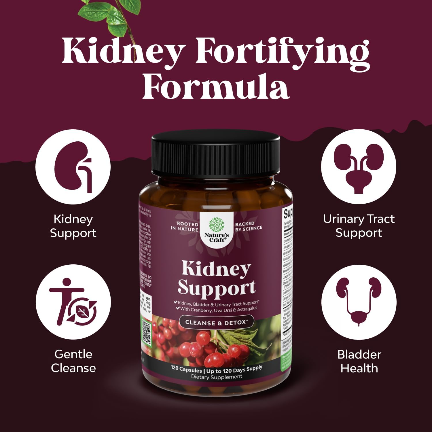 Natures Craft Kidney Support Herbal Supplement capsules close-up