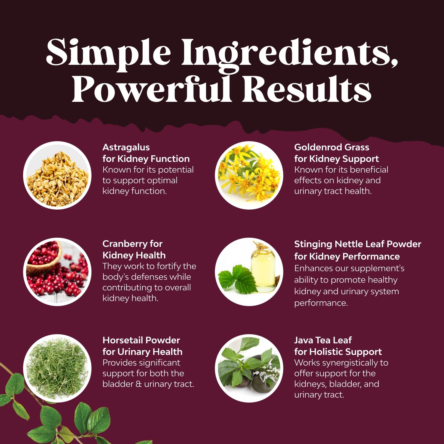 Natures Craft Kidney Support Herbal Supplement ingredients list