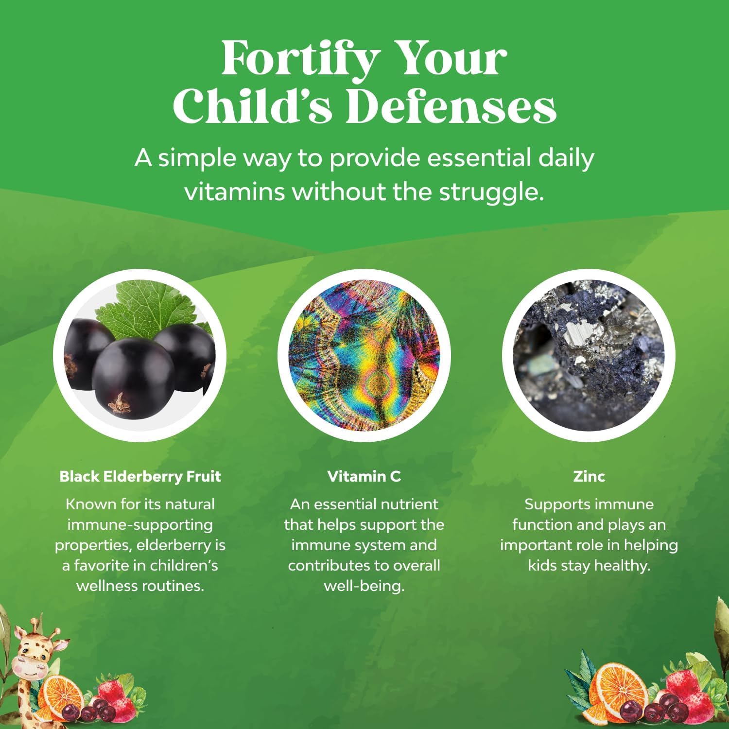Natures Craft Kids daily wellness Support Gummies ingredients list