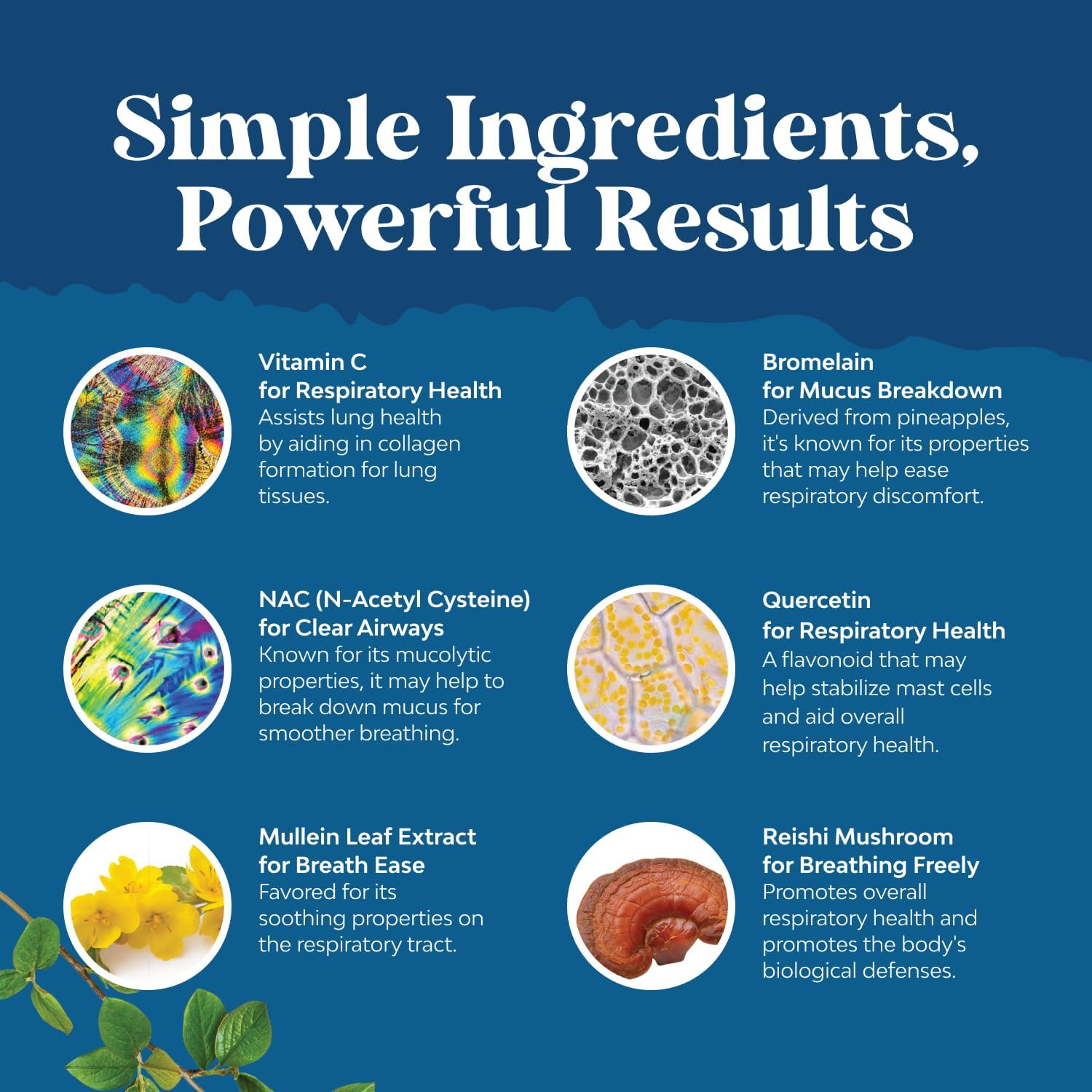 Natures Craft Marshmallow Root Supplement lifestyle image