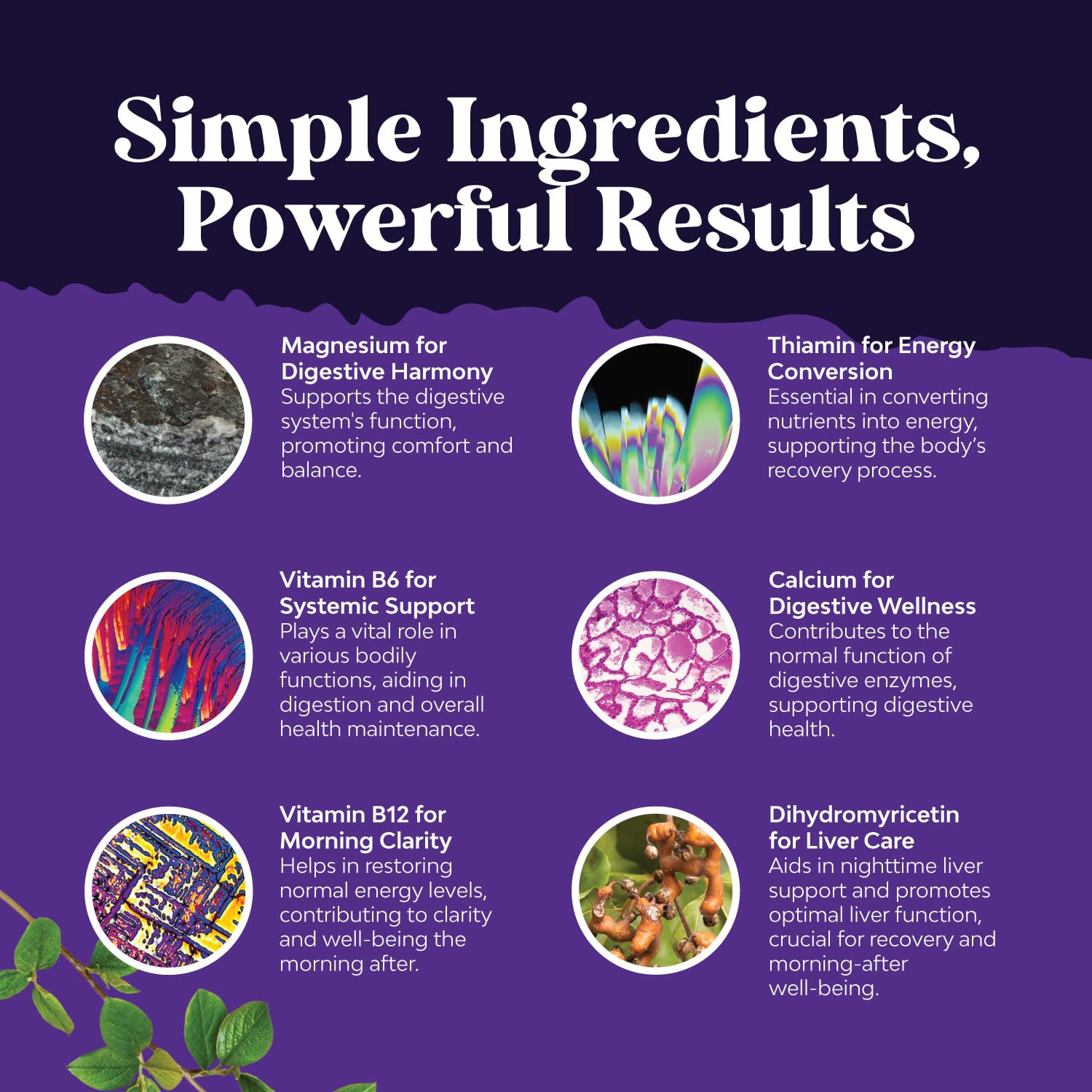 Natures Craft Milk Thistle Supplement 1000mg ingredients list