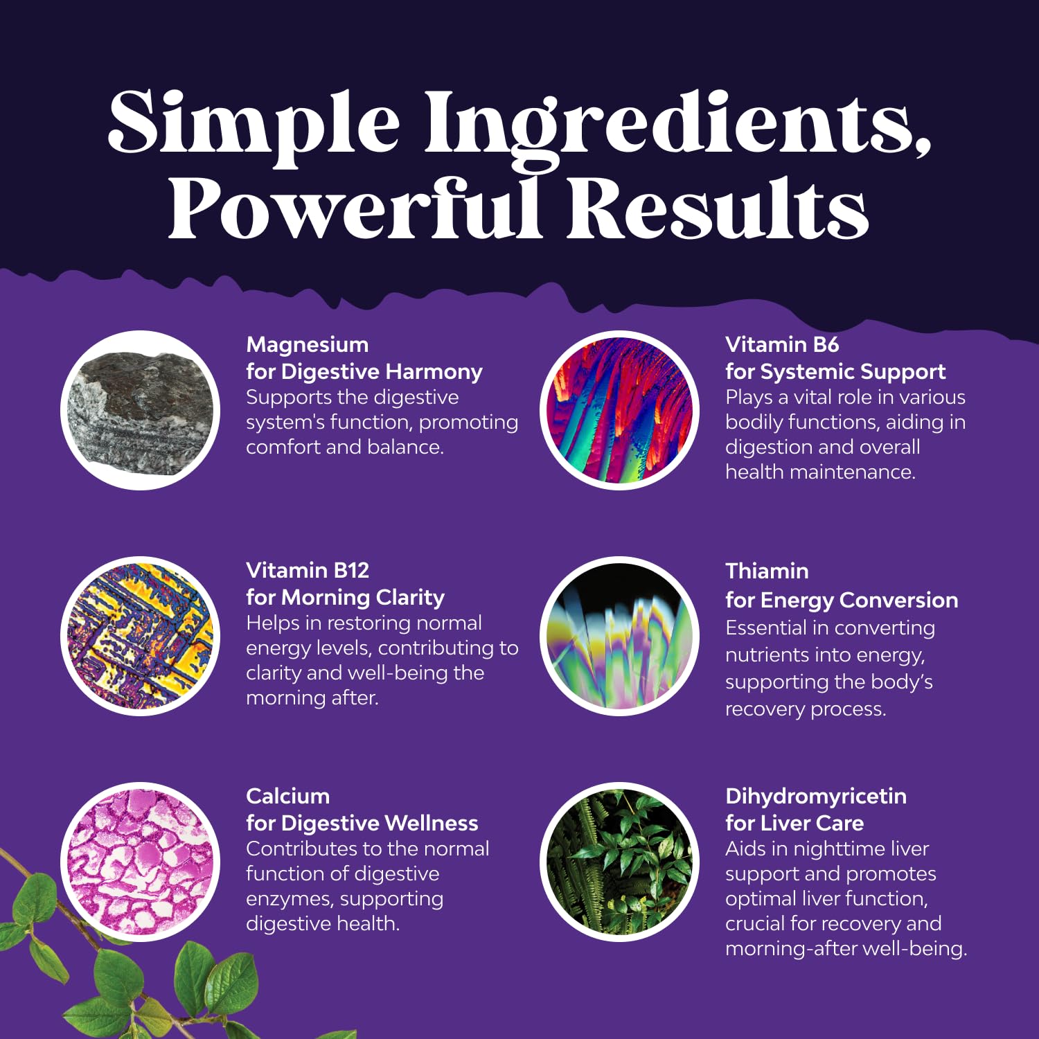 Natures Craft Milk Thistle Supplement in a lifestyle setting