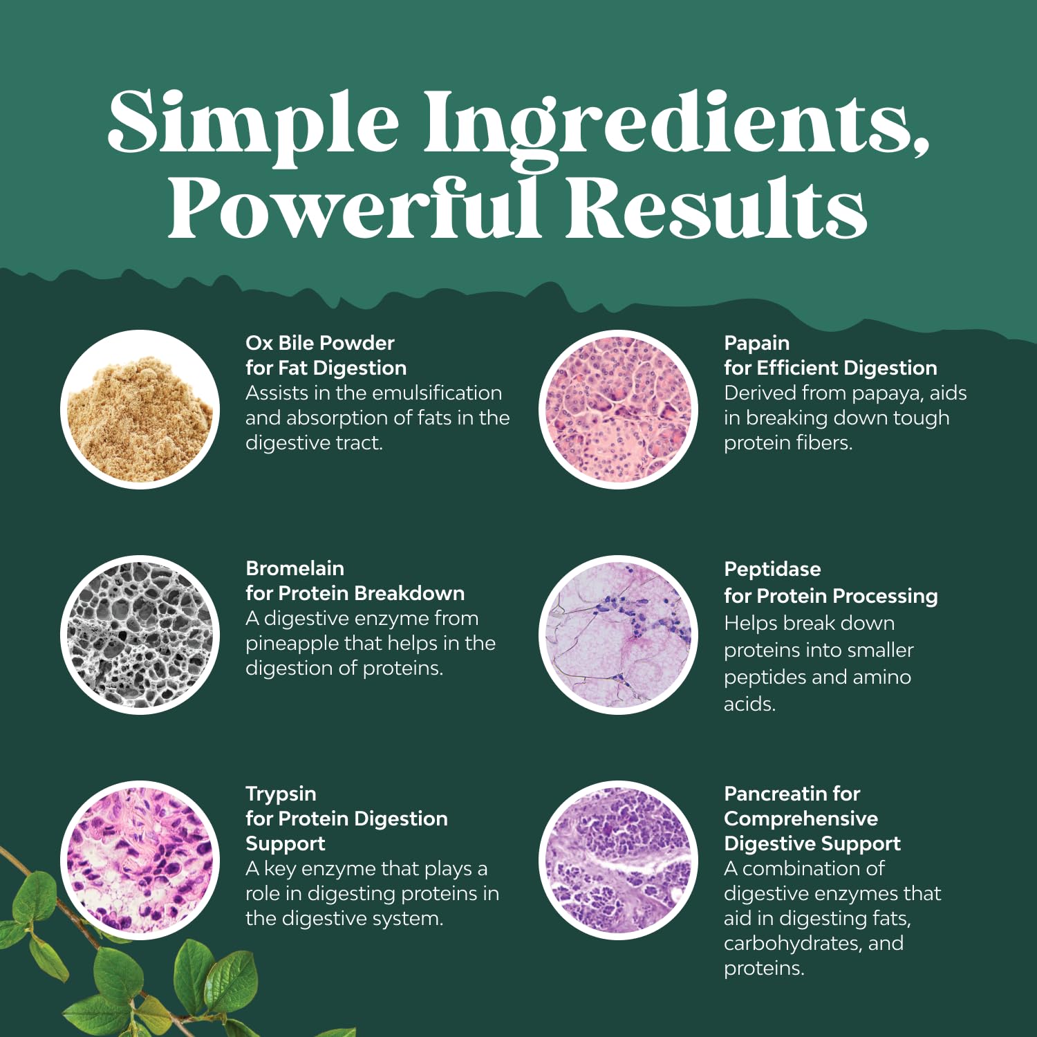 Natures Craft Multi-Enzymes for daily packaging