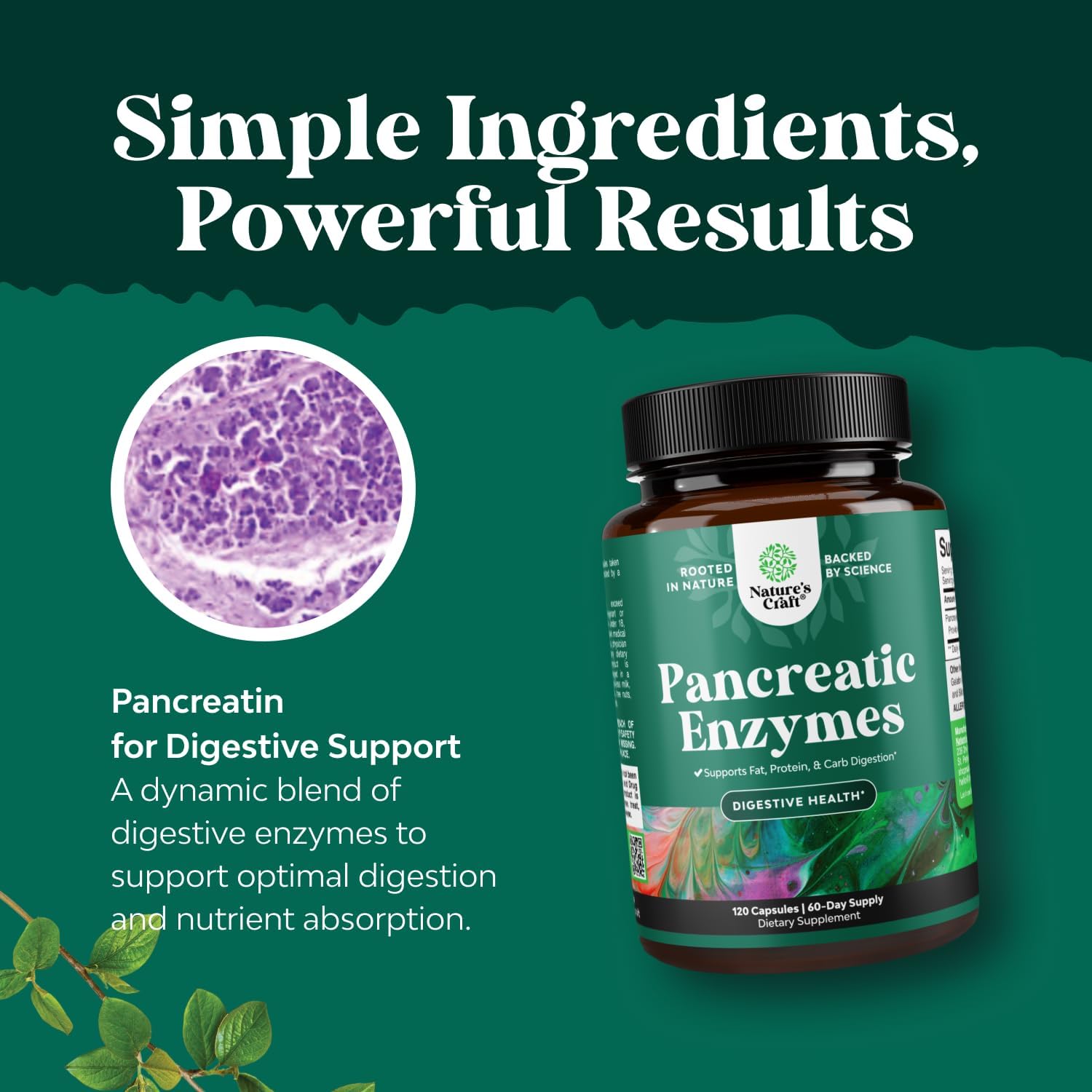 Natures Craft Multi-Enzymes Supplement displayed on a kitchen counter
