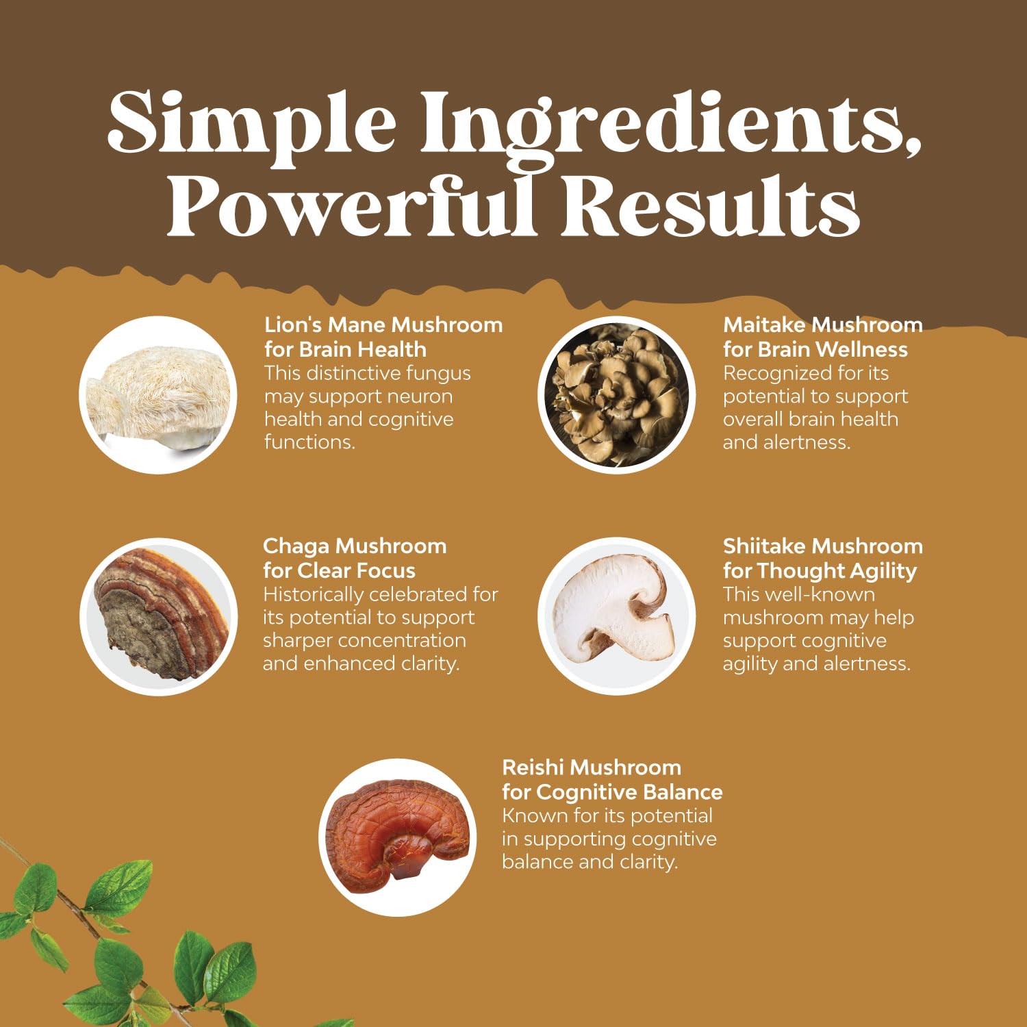 Natures Craft Mushroom Complex Capsules with mushrooms background