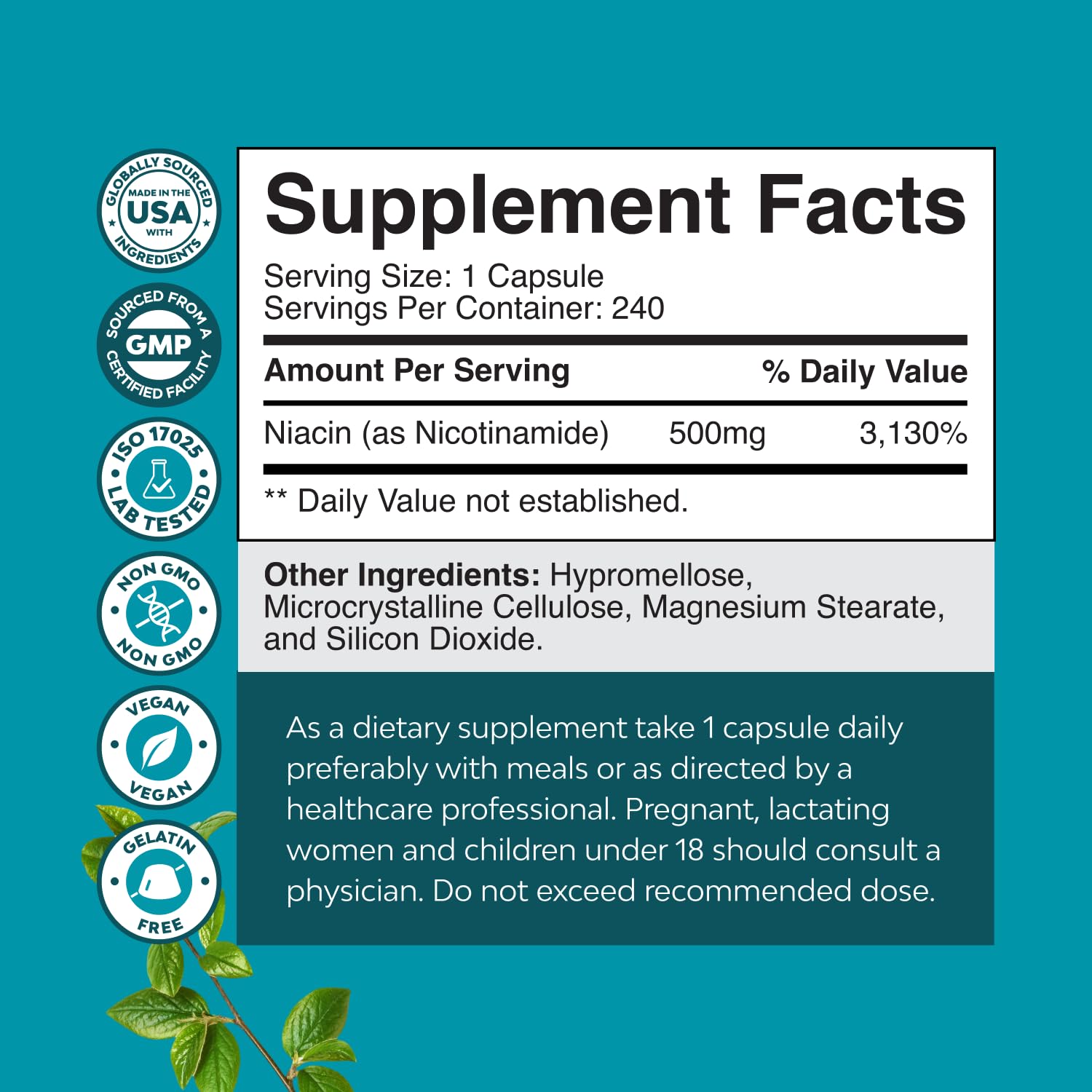 Natures Craft Niacinamide 500mg B3 Supplement label close-up