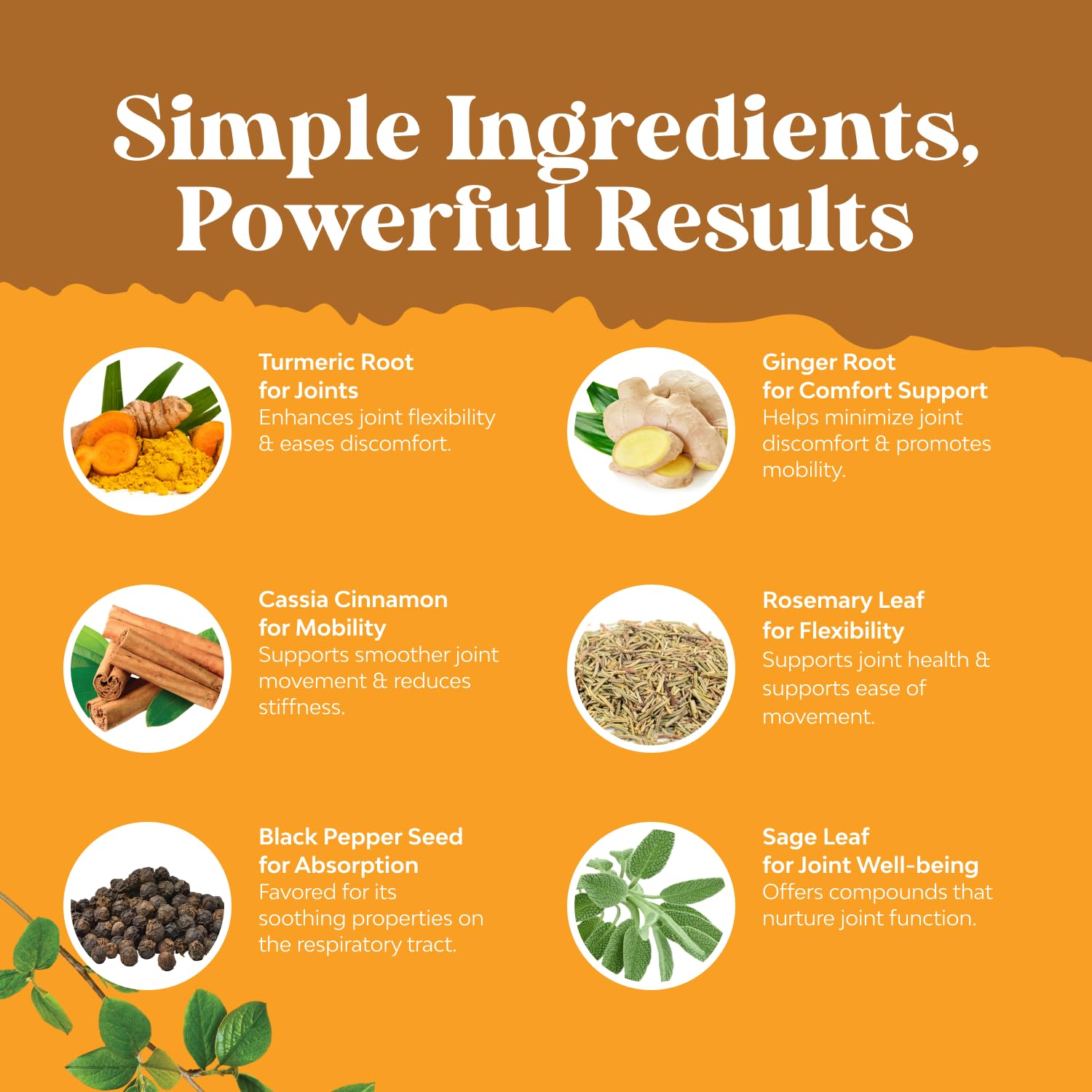Natures Craft Organic Turmeric Drops lifestyle scene