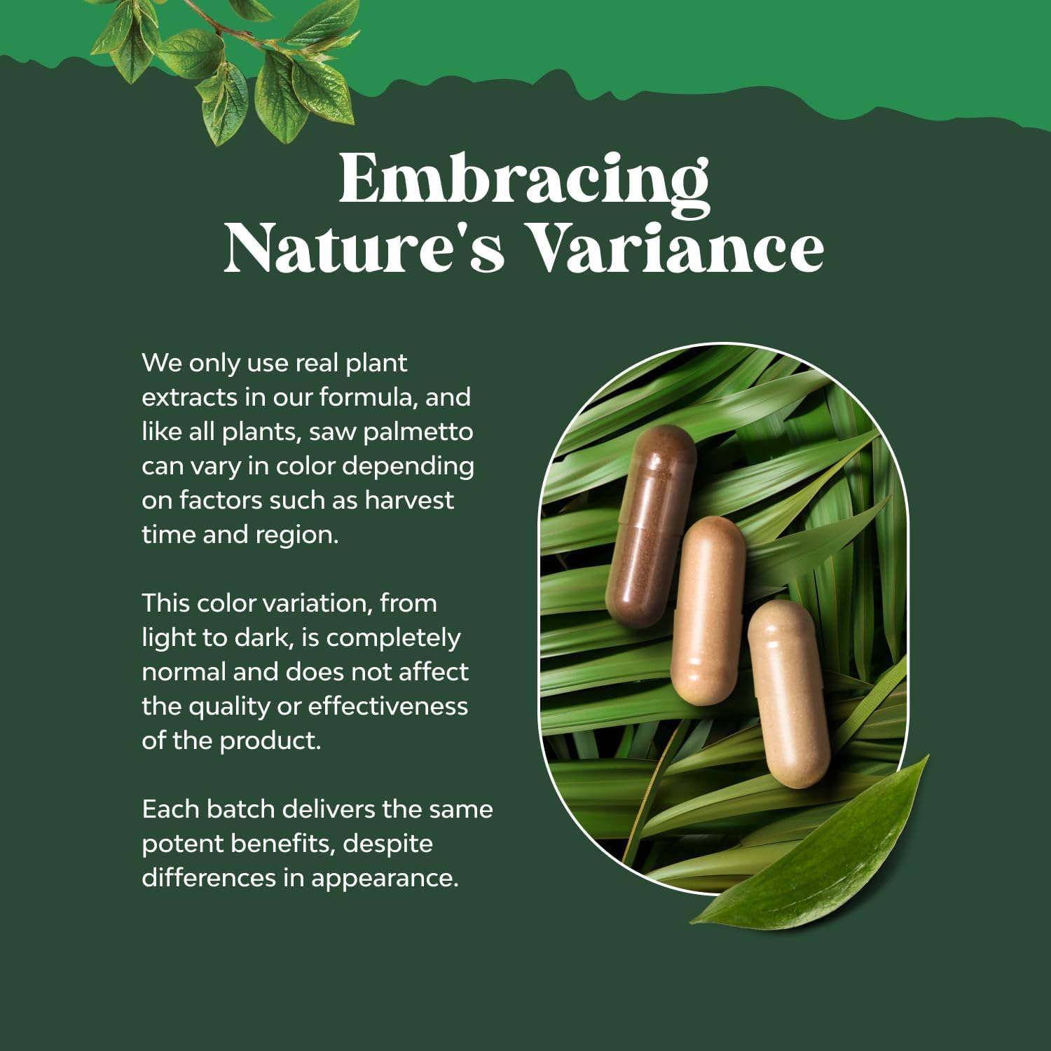Natures Craft Saw Palmetto Capsules side view