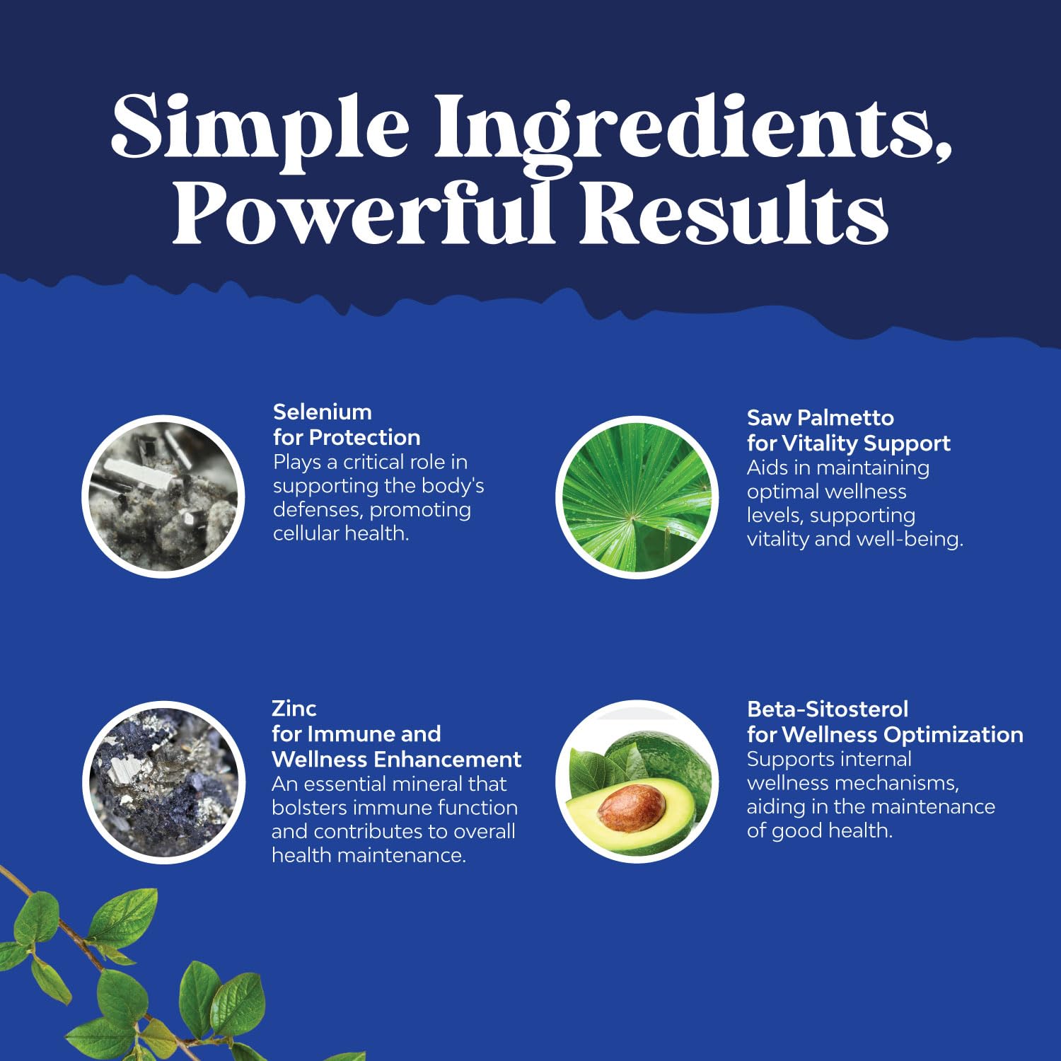 Natures Craft Saw Palmetto Supplement back view with ingredient list