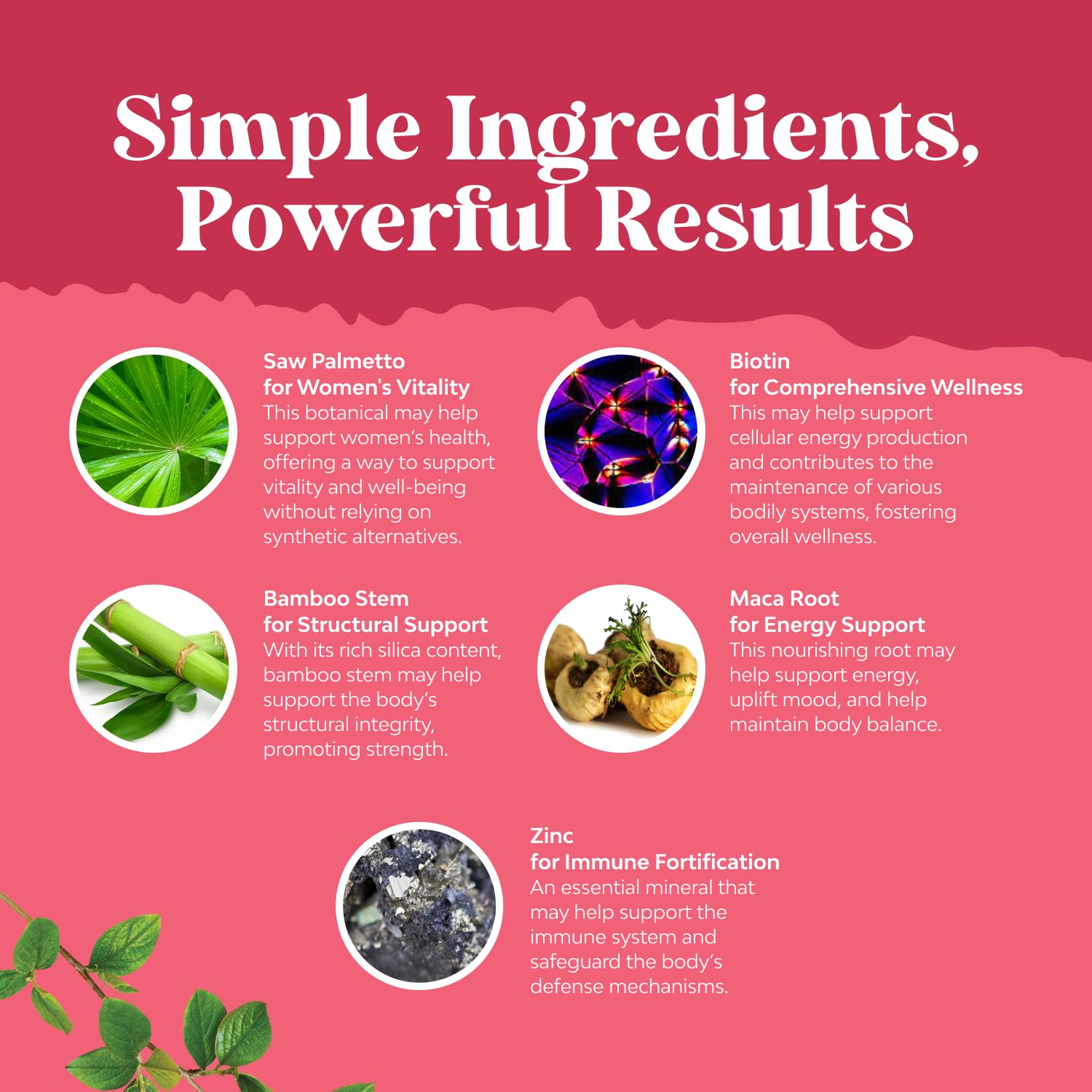 Natures Craft Saw Palmetto Supplement packaging