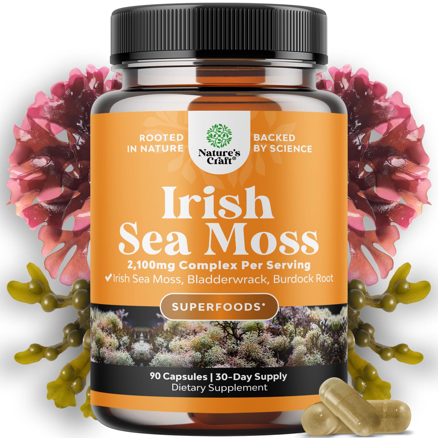 Natures Craft Sea Moss Complex capsules front view