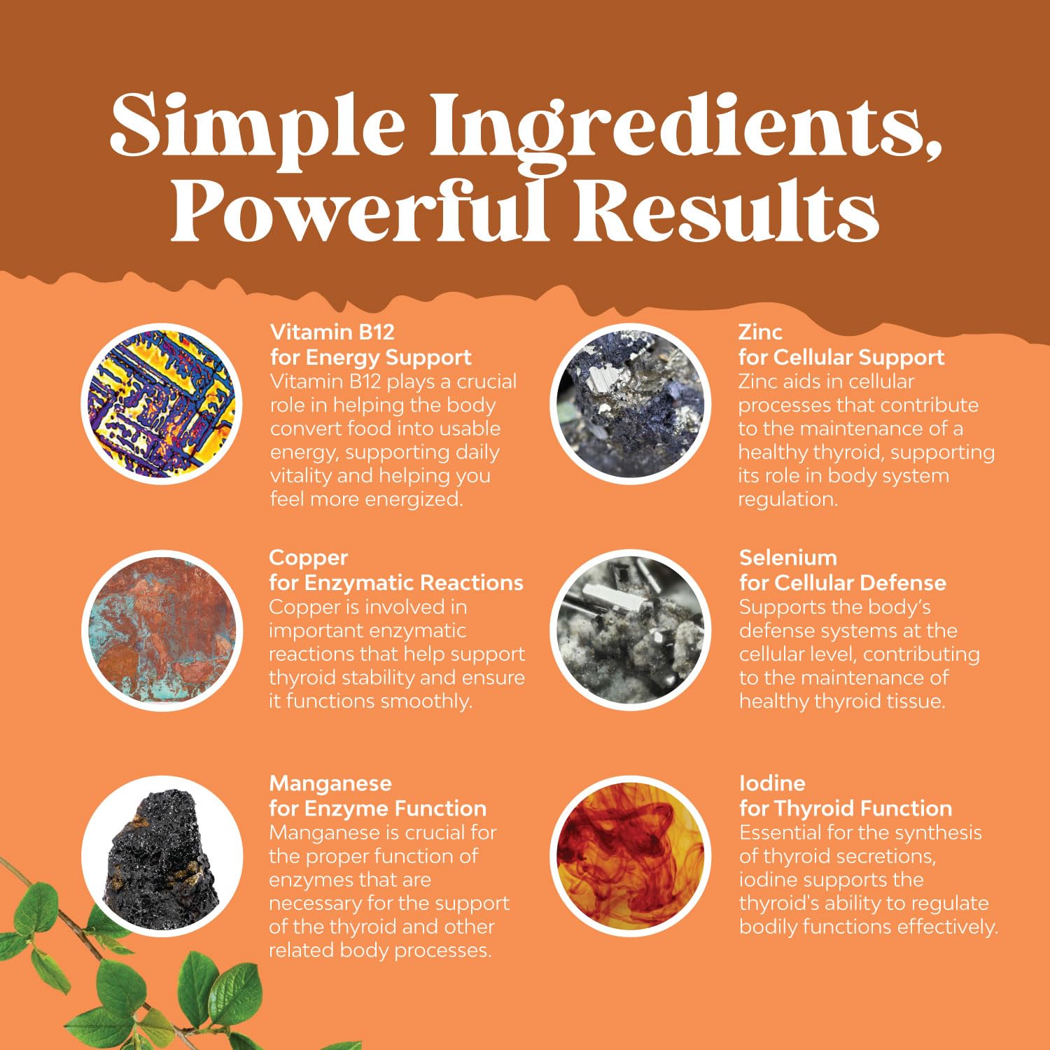 Natures Craft Thyroid Support Gummies with fresh fruit