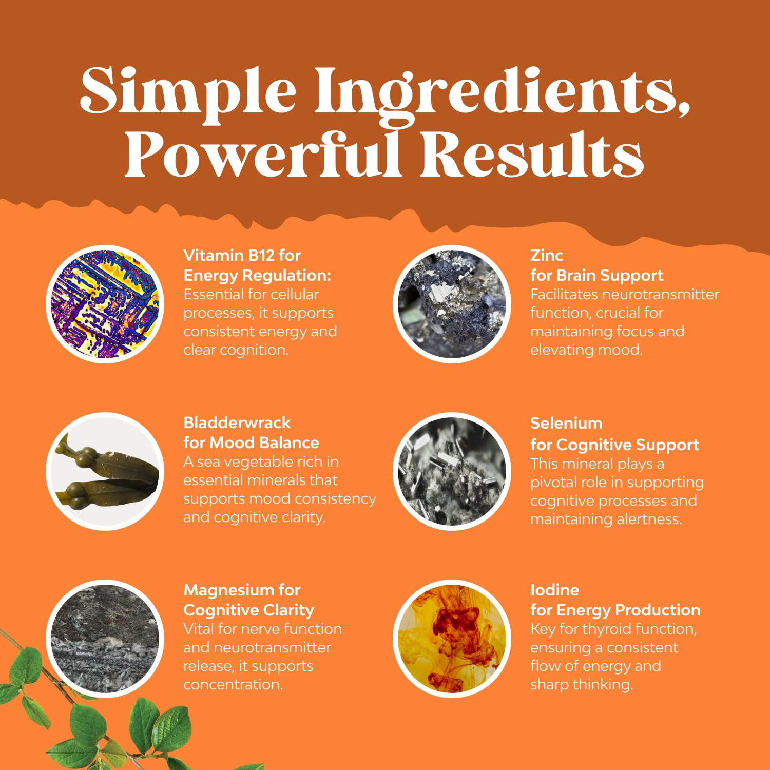 Natures Craft Thyroid Support Supplement ingredients list