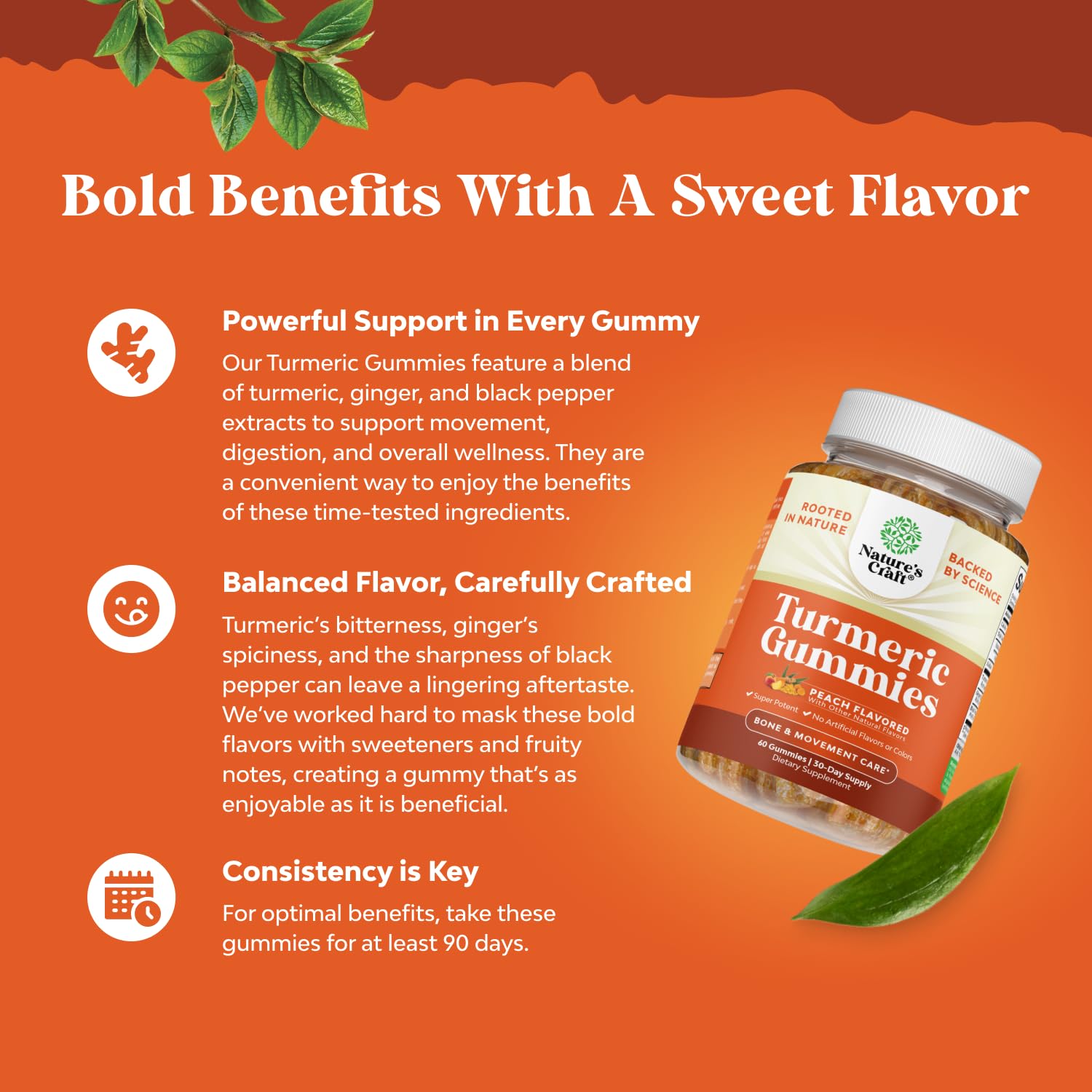 Natures Craft Turmeric & Ginger Gummies back view packaging