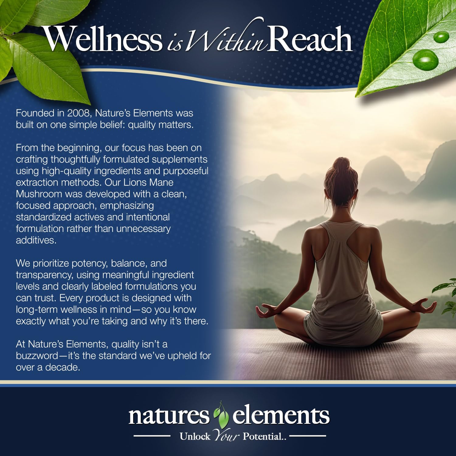 Natures Elements Lion’s Mane Mushroom Extract 1000mg capsules displayed with lifestyle setting