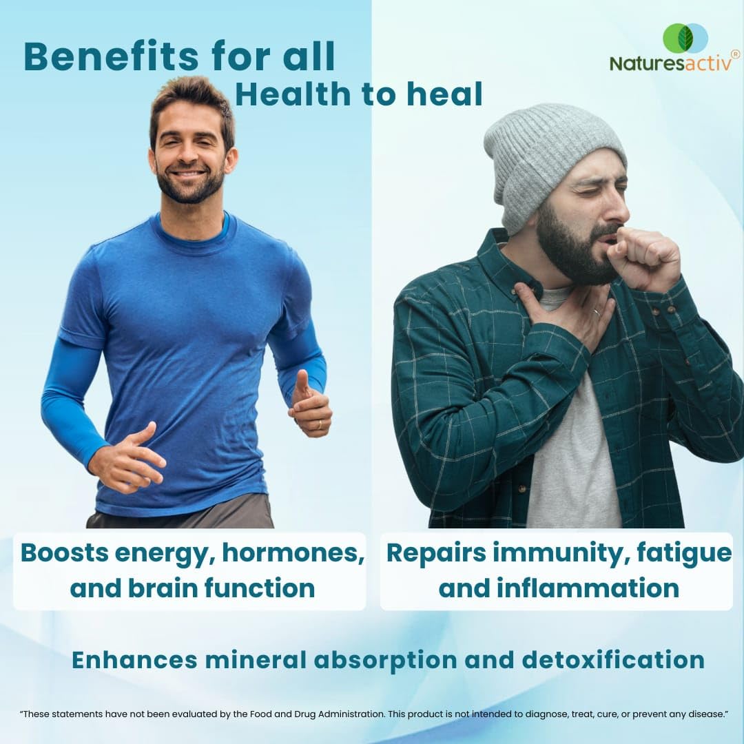 Naturesactiv Shilajit Resin with Himalayan backdrop