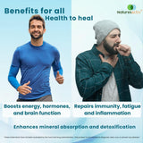 Naturesactiv Shilajit Resin with Himalayan backdrop