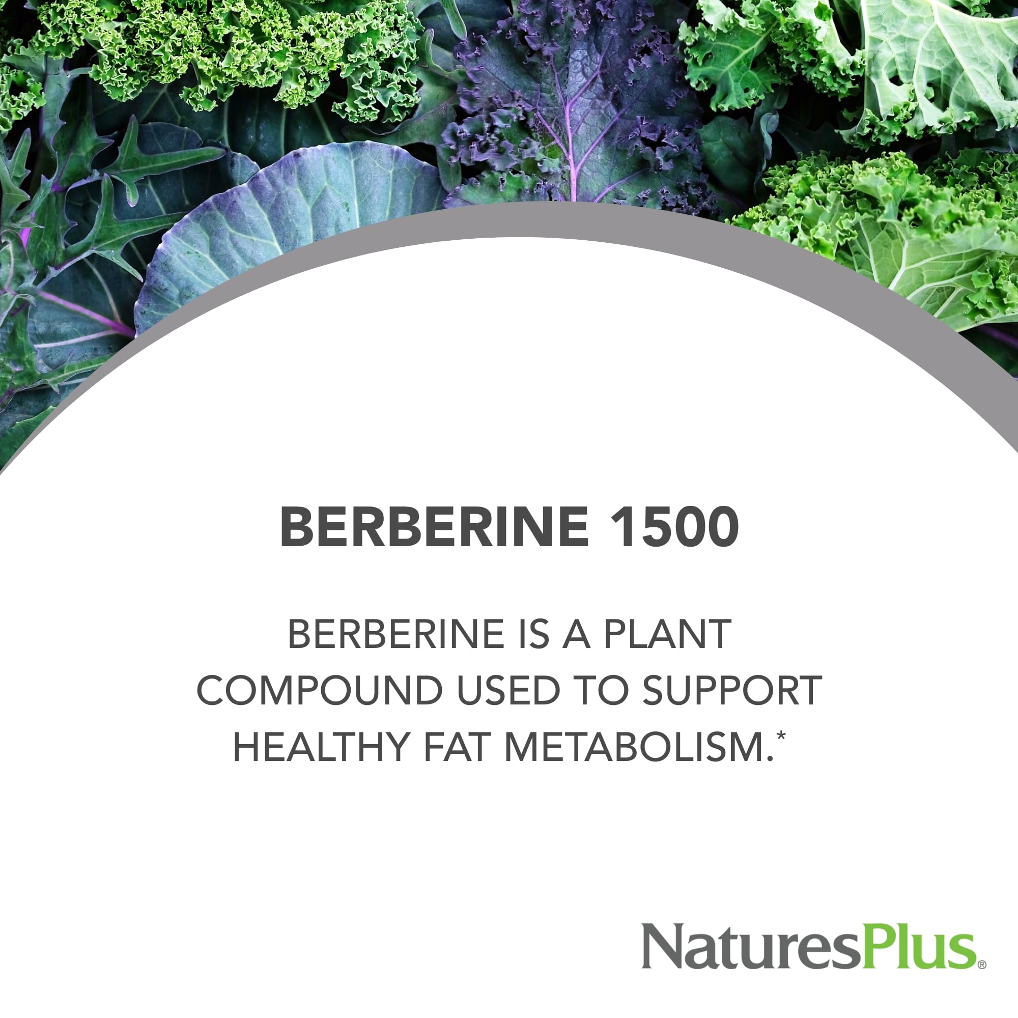 NaturesPlus Berberine 100g capsules in a bowl
