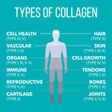 NaturesPlus Collagen Peptides Berry Lemonade in a glass with water