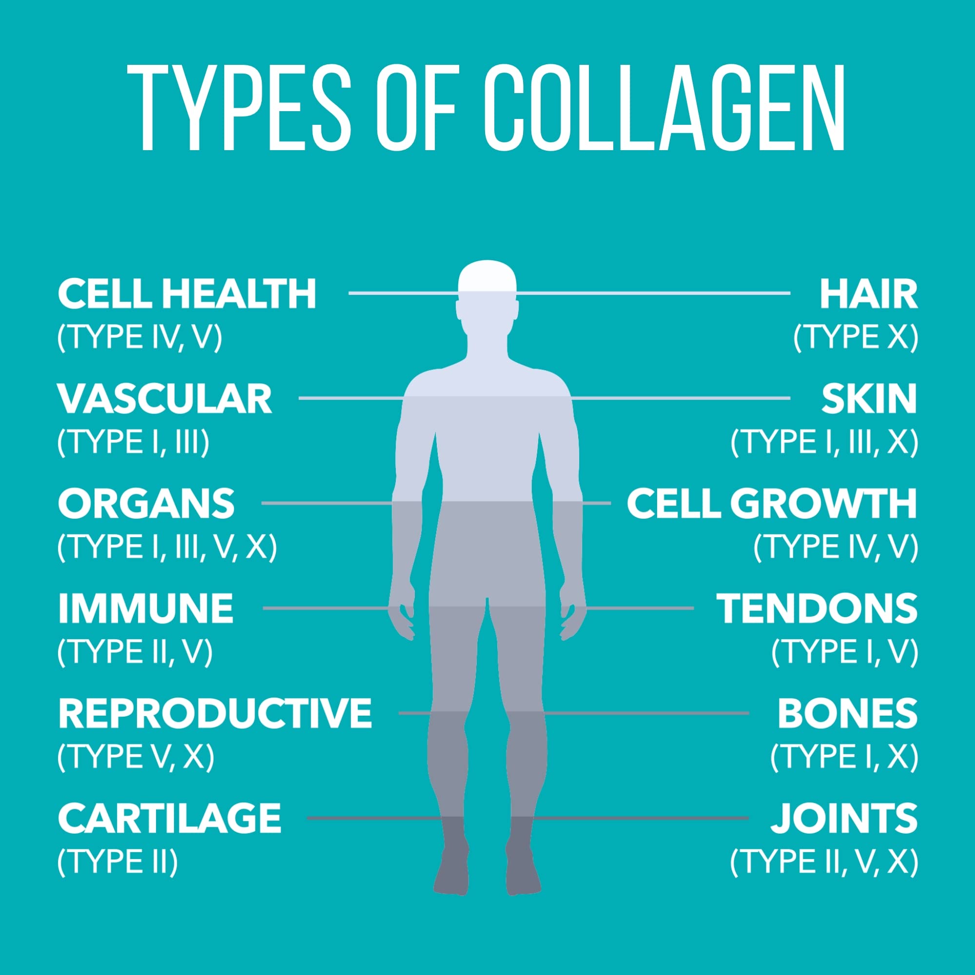 NaturesPlus Collagen Supplement 739g top view