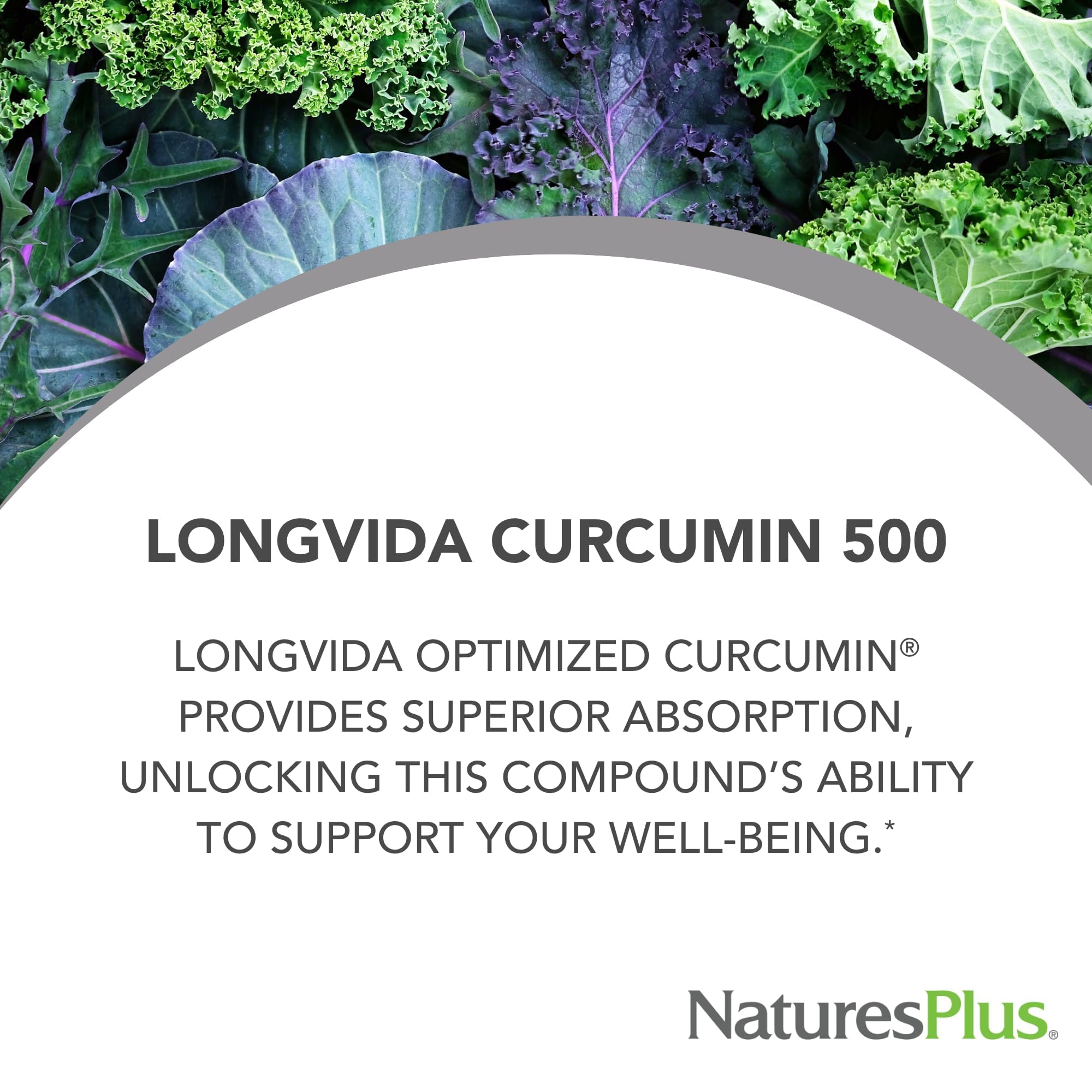 NaturesPlus Curcumin Supplement 60 Capsules side view