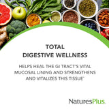 NaturesPlus GI Natural Multi-Enzyme Supplement 222g side view