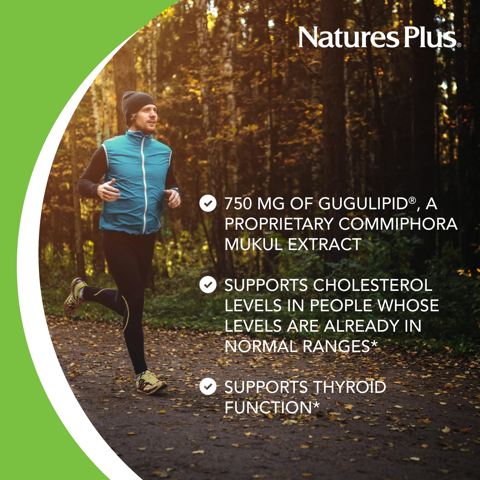 NaturesPlus Gugulipid 1000 mg Extended Release Tablets ingredients list