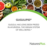 NaturesPlus Gugulipid 1000 mg Extended Release Tablets packaging