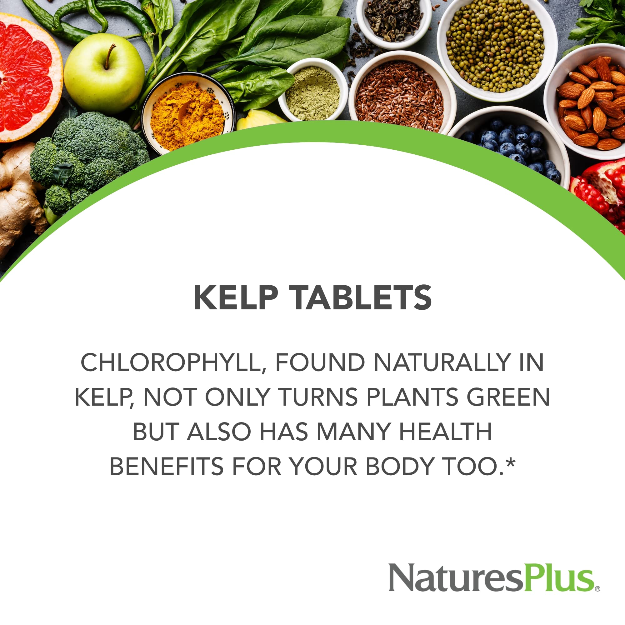 NaturesPlus Icelandic Kelp Supplement back view with ingredient list