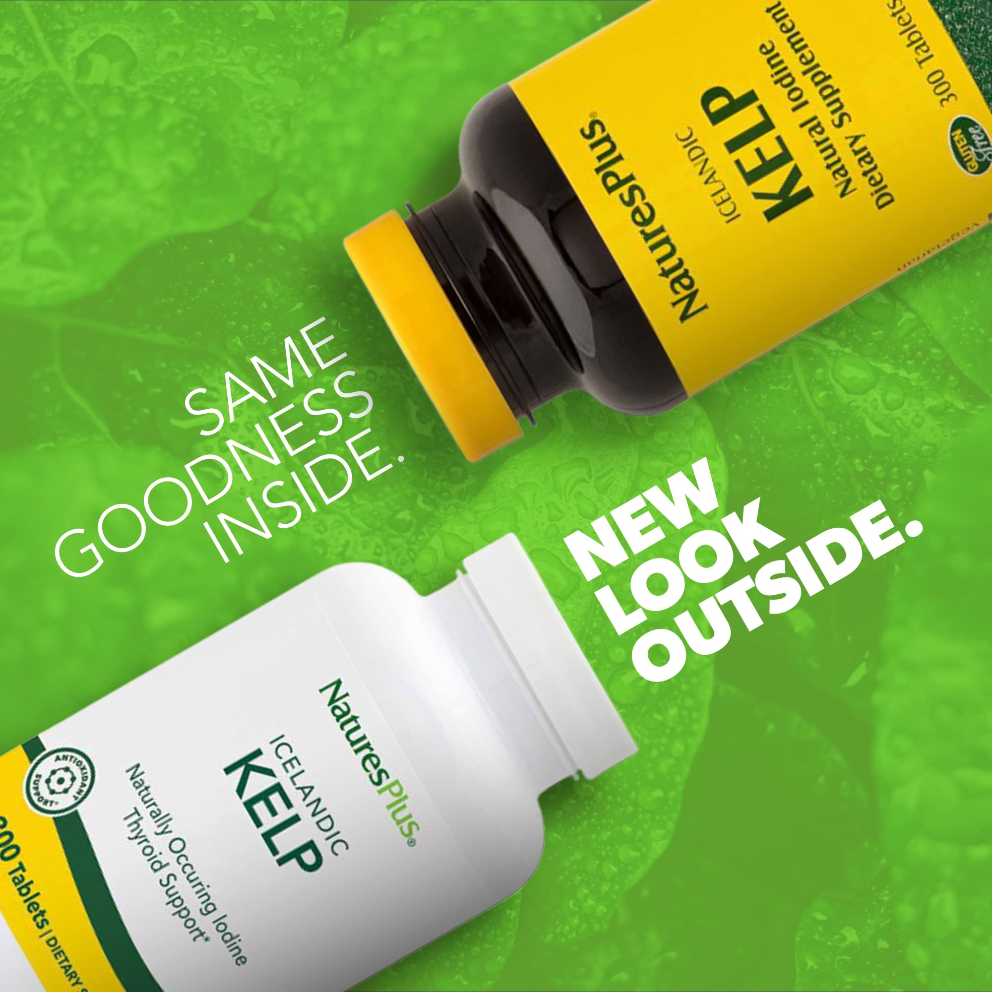 NaturesPlus Icelandic Kelp Supplement side view showing tablet details